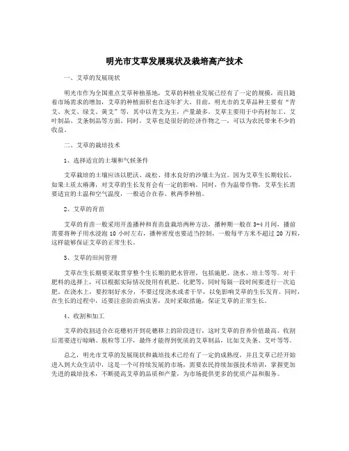 明光市艾草发展现状及栽培高产技术