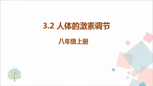 初中生物人教版《激素调节》_PPT-精美