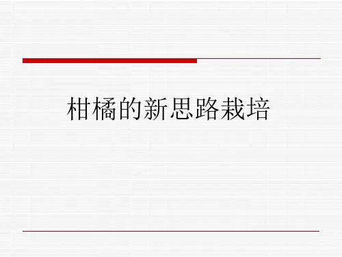 柑橘的新思路栽培精品PPT课件