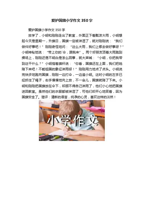 爱护国旗小学作文350字
