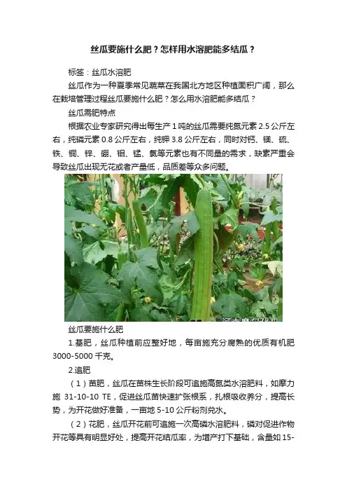 丝瓜要施什么肥?怎样用水溶肥能多结瓜?