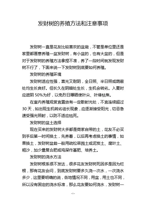 发财树的养殖方法和注意事项