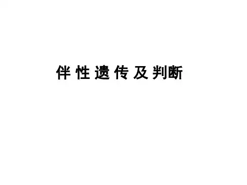 伴性遗传及判断