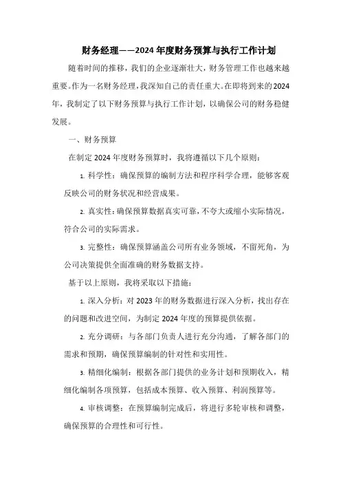 财务经理——2024年度财务预算与执行工作计划