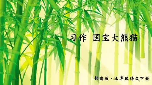 新部编版语文三年级下册 第七单元 习作 国宝大熊猫 课件(12张ppt)