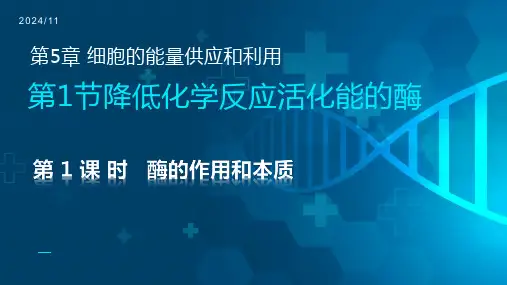 【生物】酶的作用和本质课件-2024-2025学年高一上学期生物人教版必修1