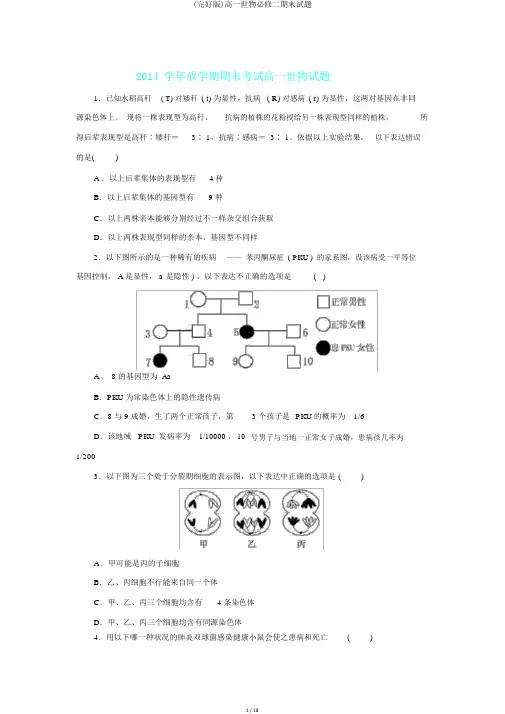 (完整版)高一生物必修二期末试题