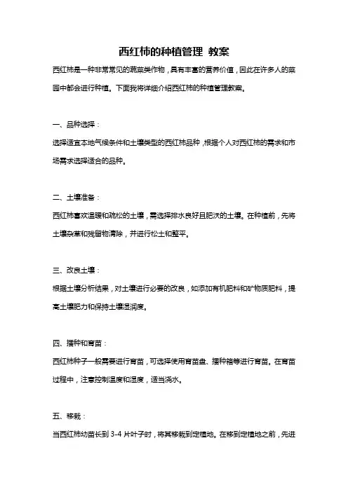 西红柿的种植管理 教案