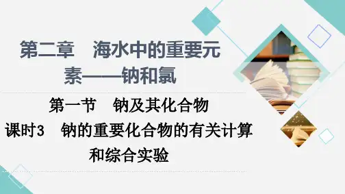 1_钠的化合物计算