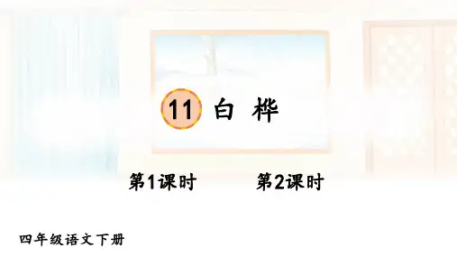 部编人教版语文四年级下册第11课《白桦》课件PPT