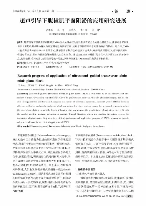 超声引导下腹横肌平面阻滞的应用研究进展