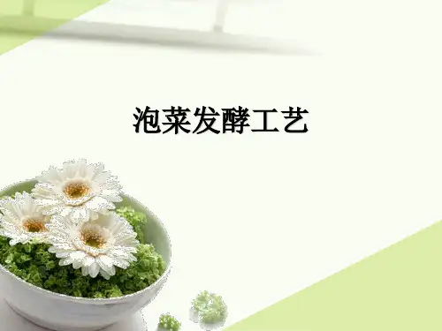 泡菜发酵