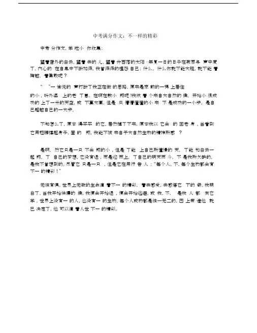 中考满分作文：不一样的精彩.docx