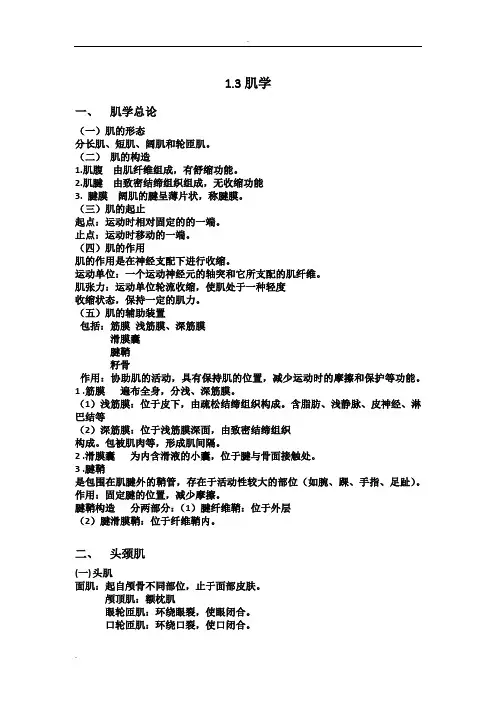 人体解剖学肌学