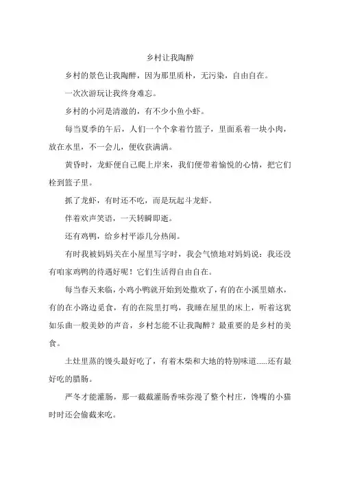 乡村让我陶醉--作文