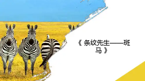 《斑马》4-6岁幼儿园小学少儿美术教育PPT绘画课件创意教程教案