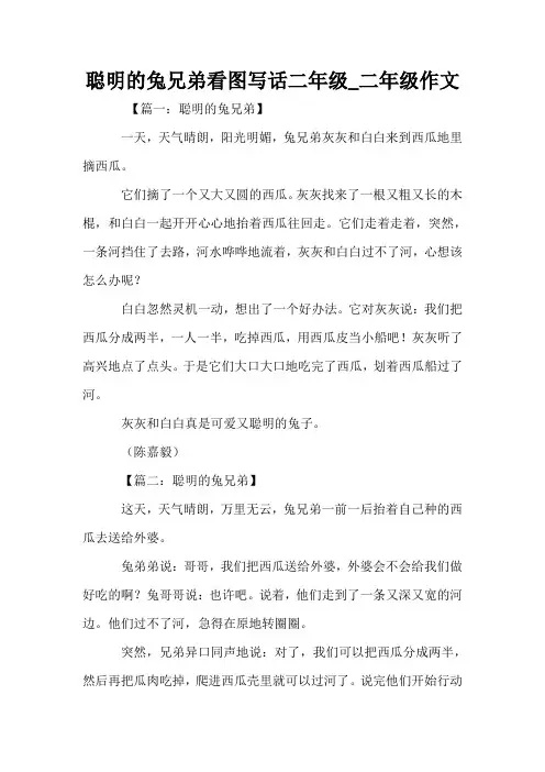 聪明的兔兄弟看图写话二年级_二年级作文