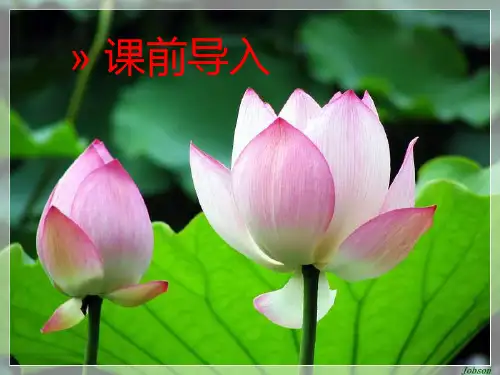 【获奖课件】_课题1_生活中常见的盐(内含实验视频)