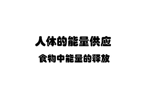 北师大版七年级生物食物中能量的释放