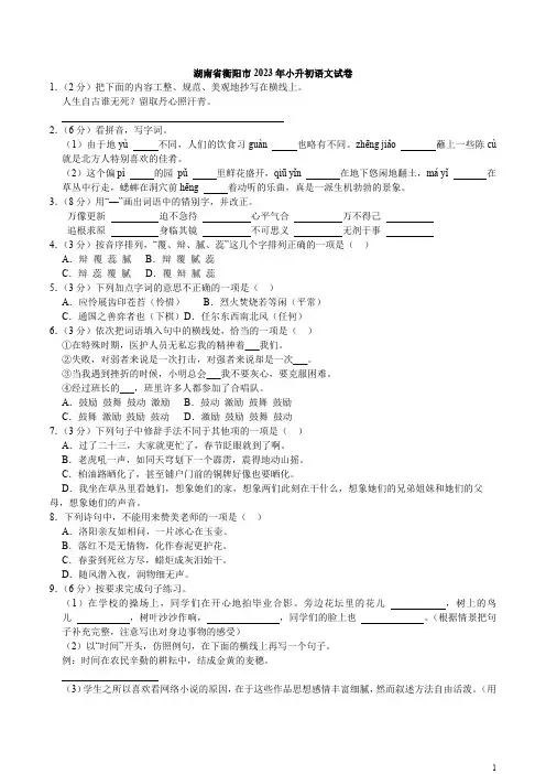 湖南省衡阳市2023年小升初语文试卷(解析版)
