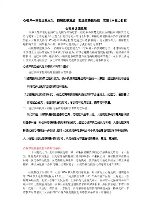 心视界训练原理