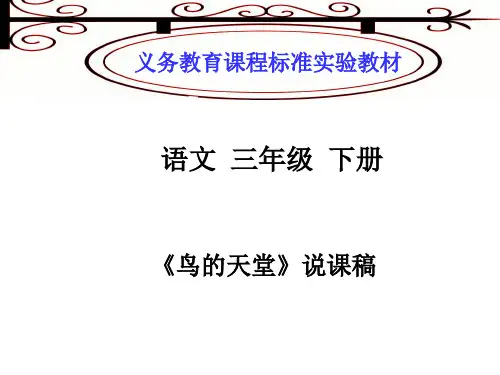 鸟的天堂说课 PPT课件