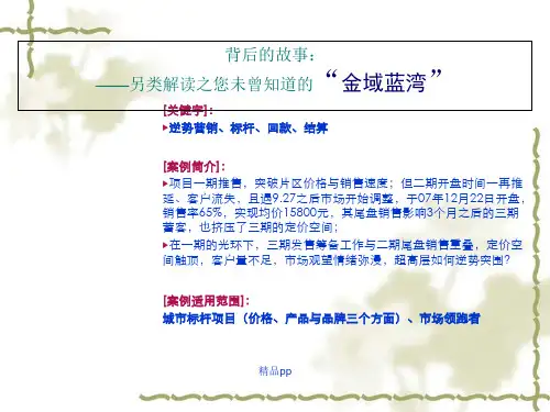 万科营销总结分享