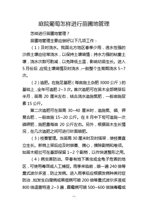 庭院葡萄怎样进行苗圃地管理