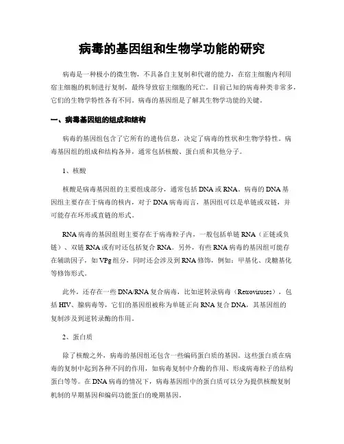 病毒的基因组和生物学功能的研究