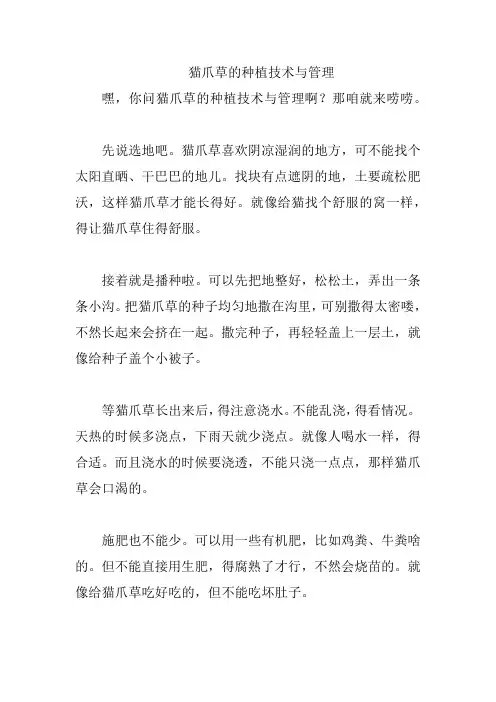 猫爪草的种植技术与管理
