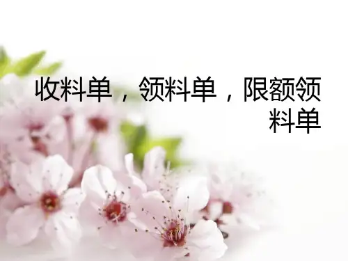 收料单_发料单_