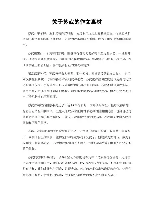 关于苏武的作文素材