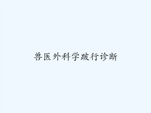 兽医外科学跛行诊断-PPT