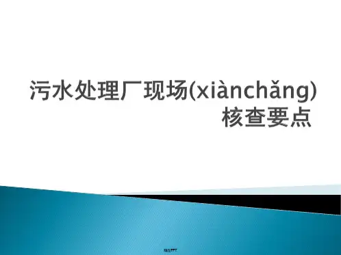 污水处理厂现场核查要点
