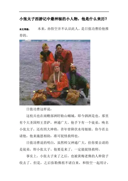 小张太子西游记中最神秘的小人物,他是什么来历？