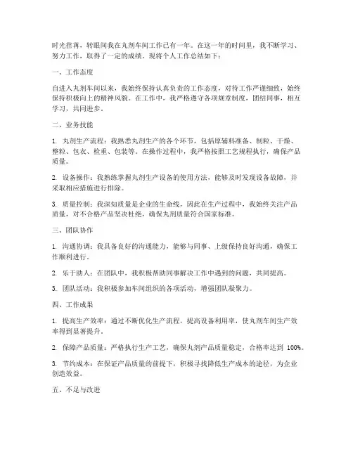 丸剂车间个人工作总结