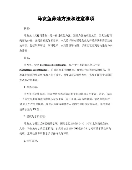 马友鱼养殖方法和注意事项