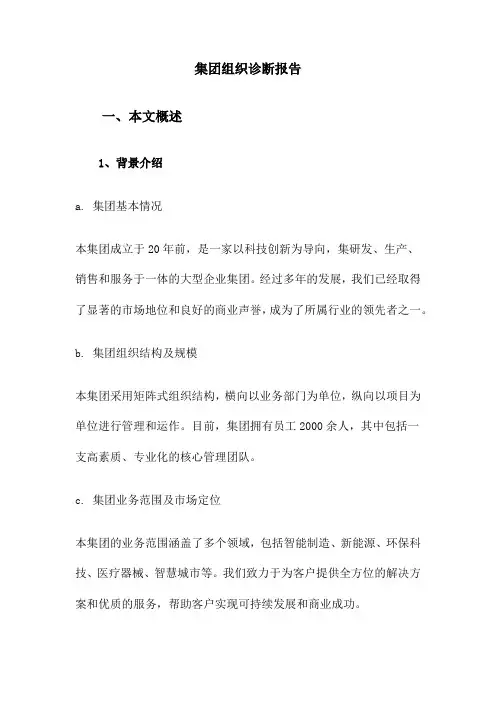 集团组织诊断报告