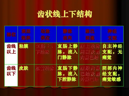 肛肠外科PPT课件
