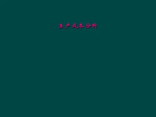 生产成本分析