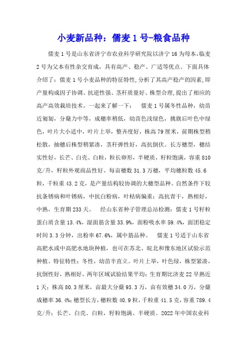小麦新品种：儒麦1号 - 粮食品种