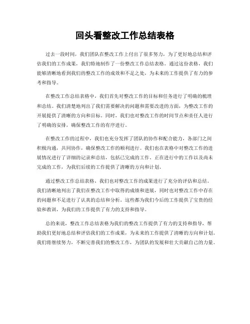 回头看整改工作总结表格