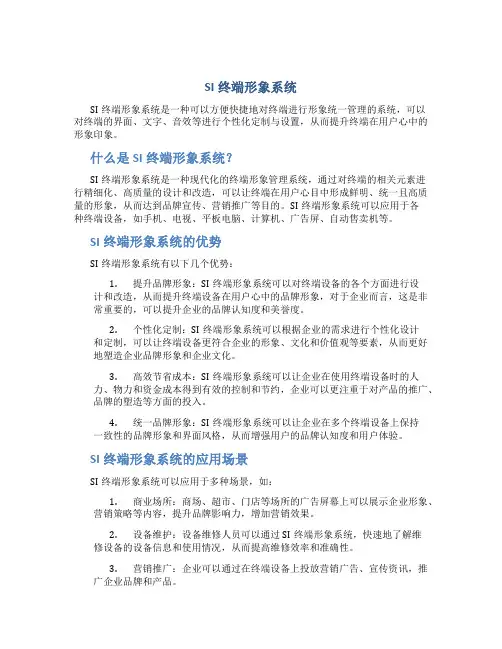 SI终端形象系统