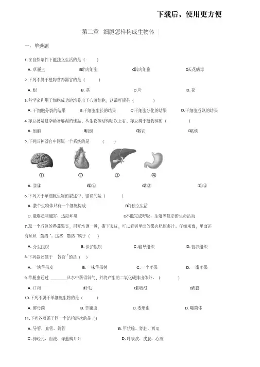 人教版七年级上册生物第二单元第二章细胞怎样构成生物体练习题(含答案)