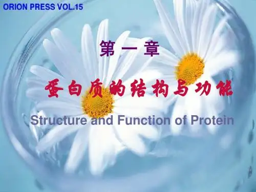 生物化学(安医)全套PPT课件