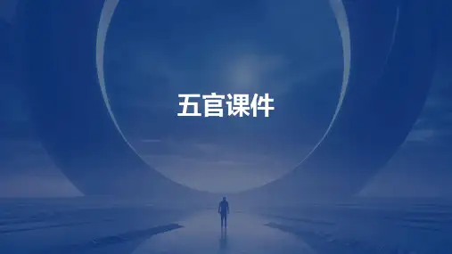 五官ppt课件