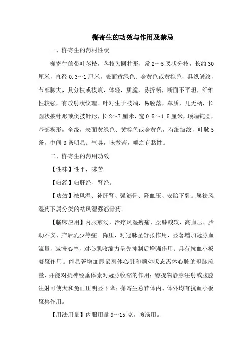 槲寄生的功效与作用及禁忌