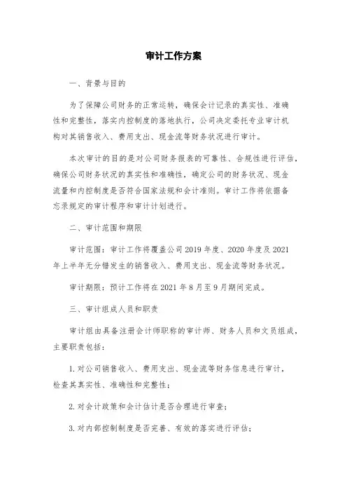审计工作方案