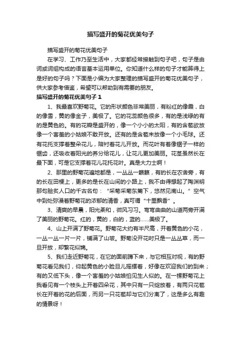 描写盛开的菊花优美句子