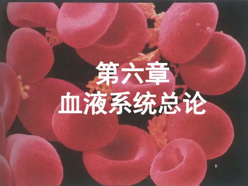 血液系统总论